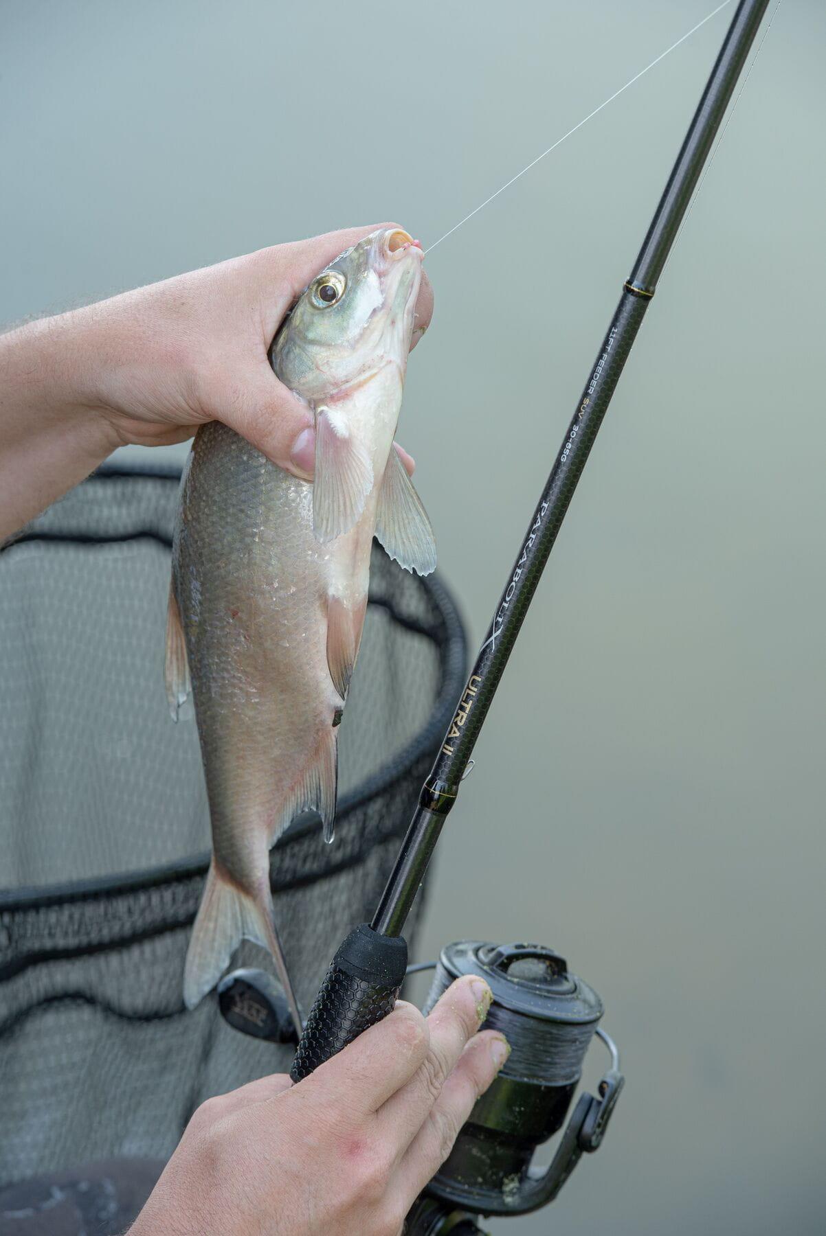MAP Parabolix Ultra 11 Feeder Rod